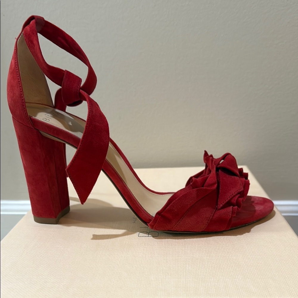 Elegant Red Suede Heels